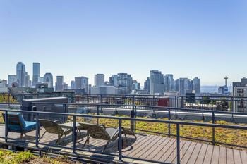 Rooftop green deck with lounge chairs and skyline views